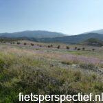 via-verde-guadix-almendricos-valle-del-almanzora-bloemen