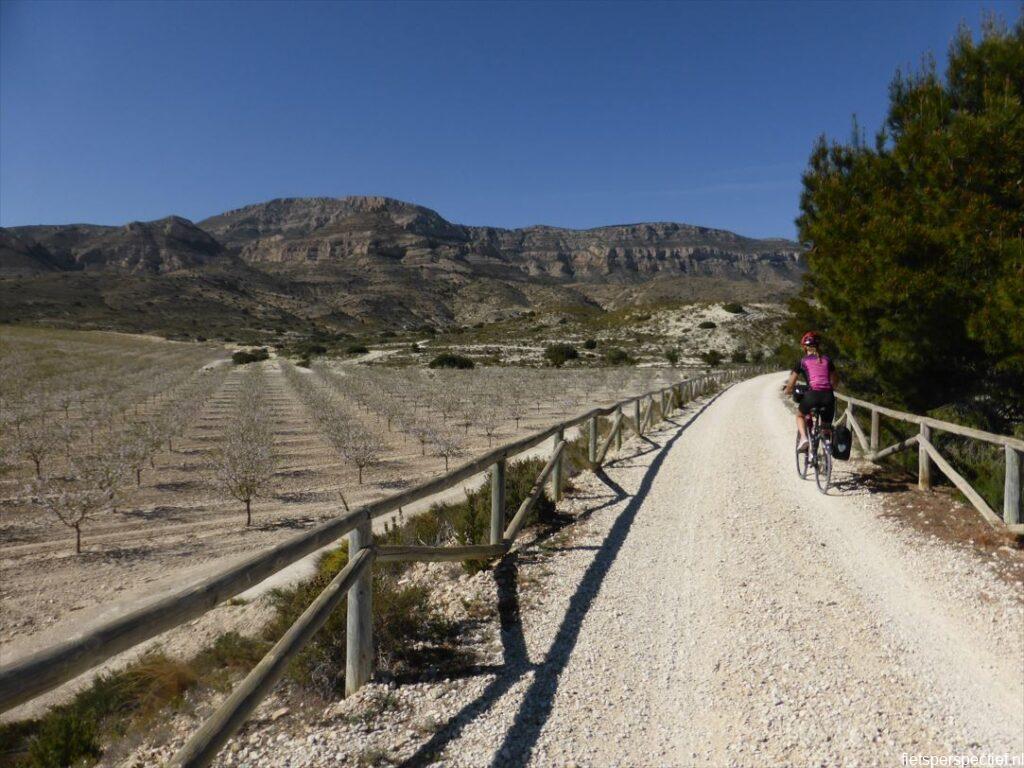 via-verde-del-maigmó-bloesems