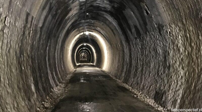via-verde-plazaola-tunnel