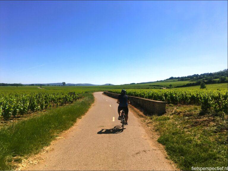 fietsen in de Bourgogne wijnroute