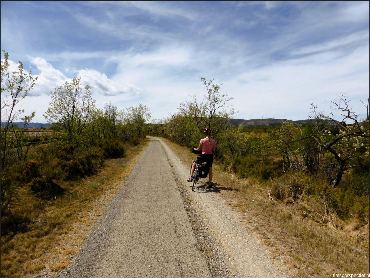 via verde de ojos negros