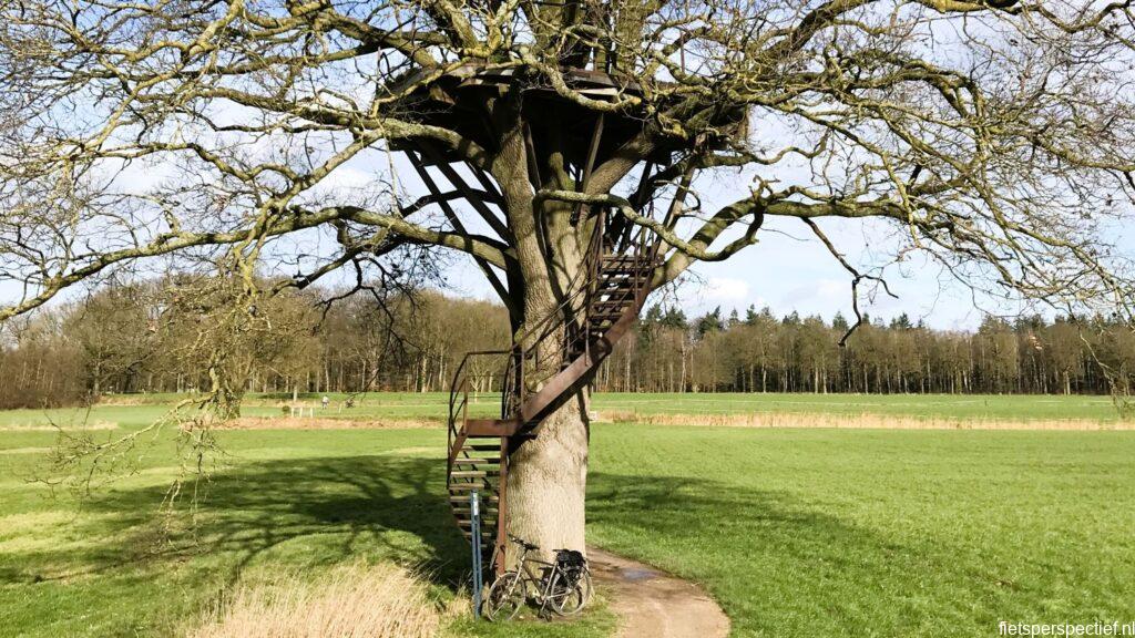 Fietsen langs de Regge