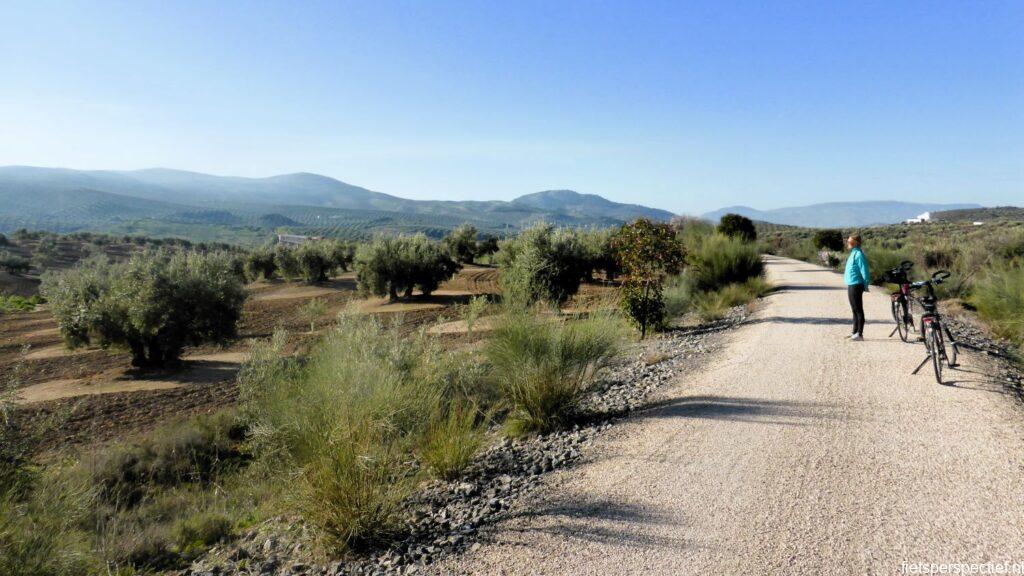 via verde del aceite