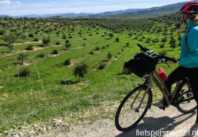 via verde del aceite