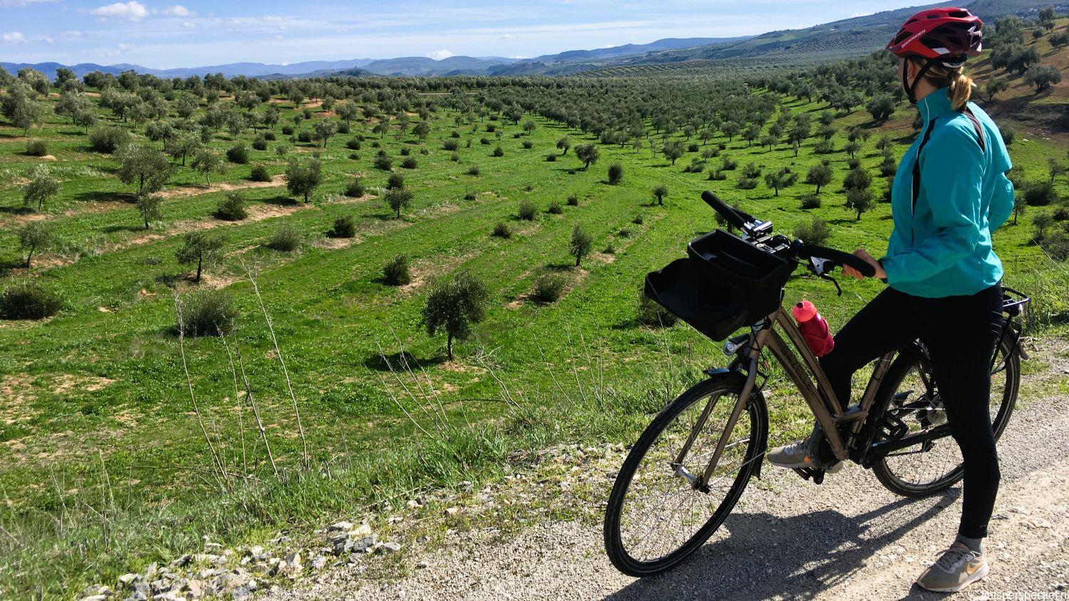 via verde del aceite